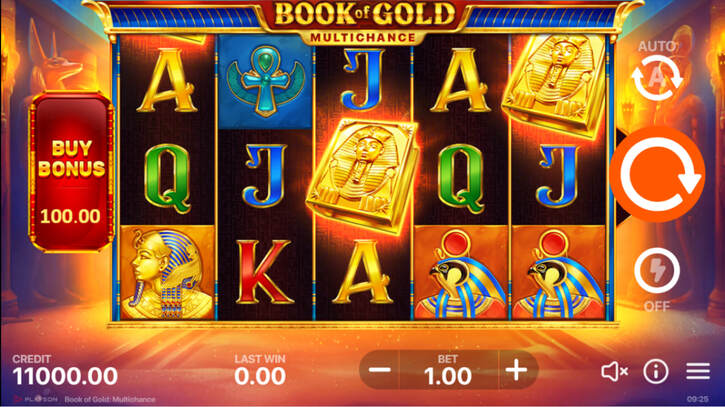 book of gold multi chance